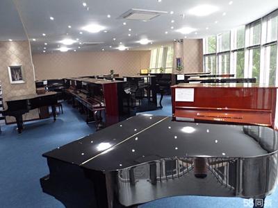 重庆艺尊大型钢琴工厂直营店 卖钢琴艺尊最专业